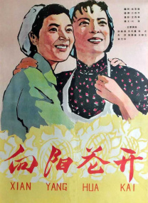 HD免费在线播放